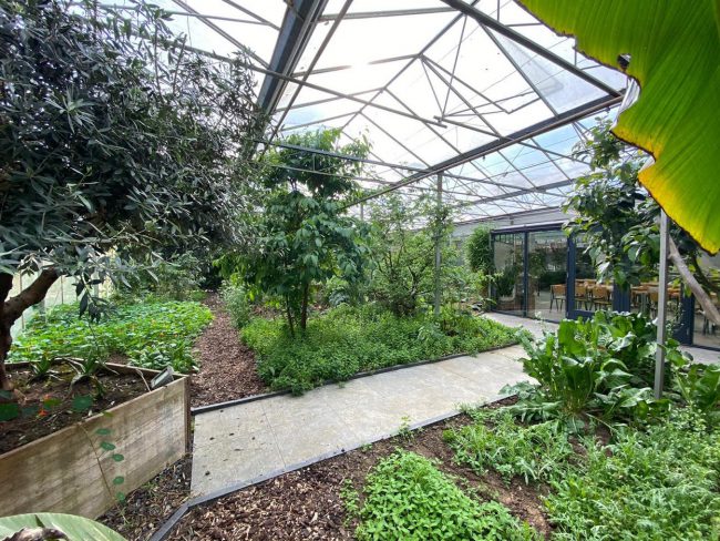 Kijkje in de kassen Kijkje in de kassen