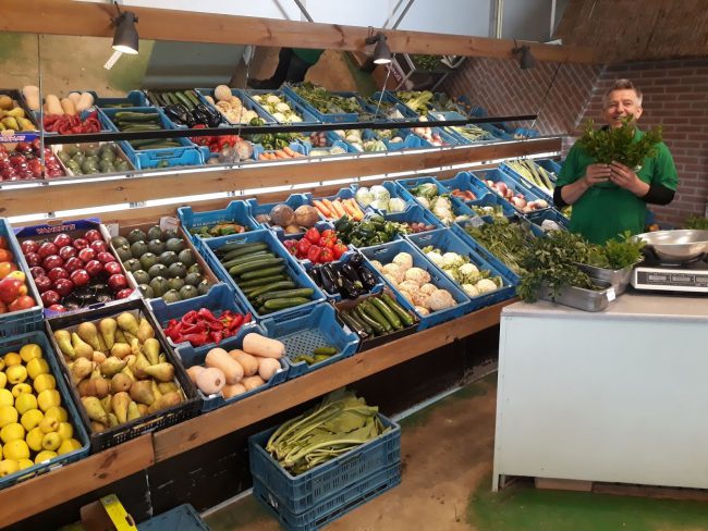 Ferdinand in de winkel Ferdinand in winkel