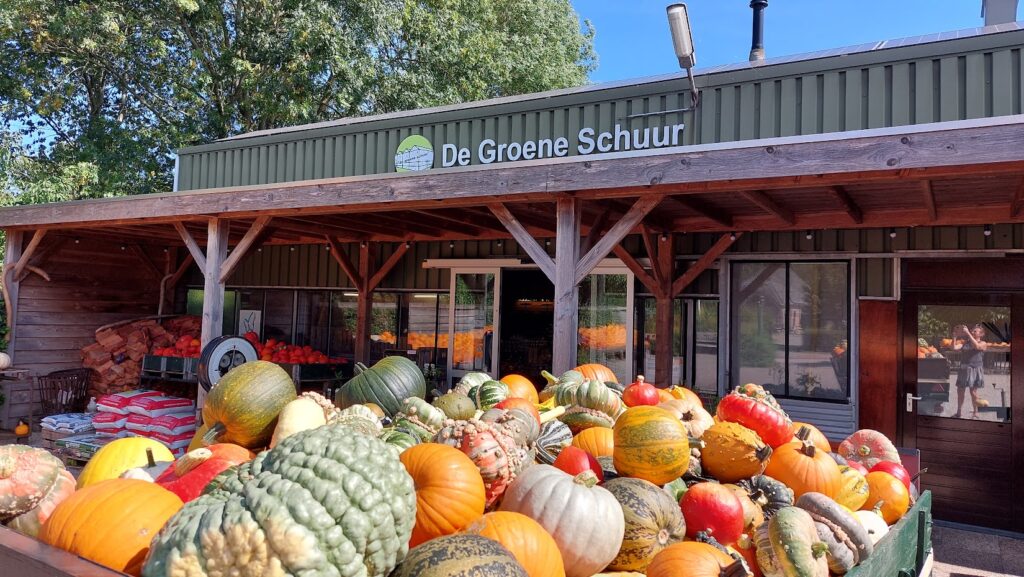 Pompoenen De Groene Schuur